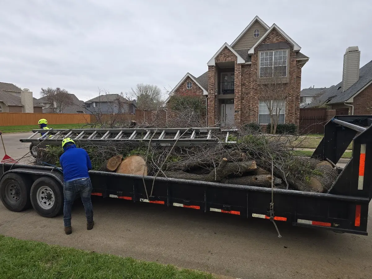 Expert Tree Fertilization with proper safety equipment in Denhoff